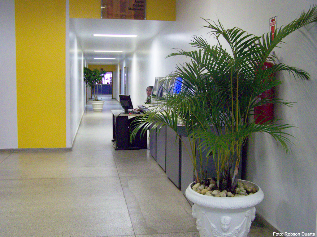 Programação dos 50 anos da biblioteca é divulgada