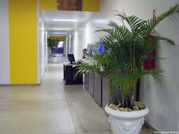Programação dos 50 anos da biblioteca é divulgada